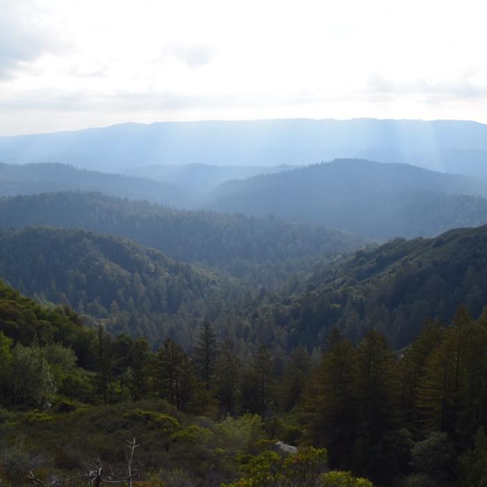 Near Castle Rock Loop