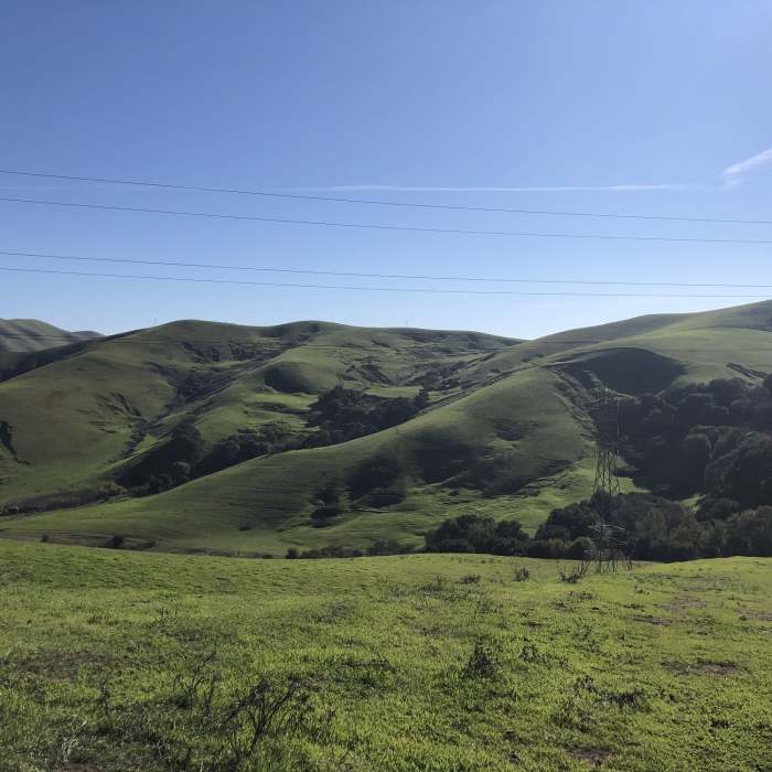 Near Bay Area Ridge Trail: Lynch Canyon Open Space