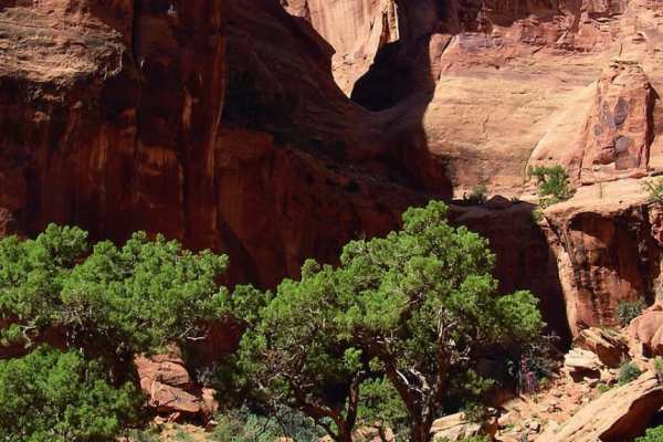 Bull Canyon, Day Canyon