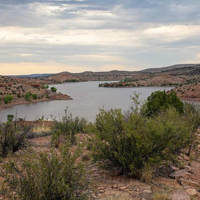 Near Buffalo Near Buffalo