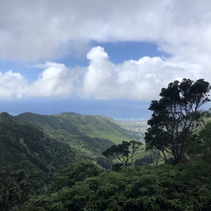 Views from early on in the trail Near Wiliwilinui Ridge Trail