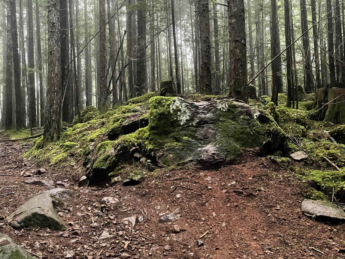 Moto World photo 4