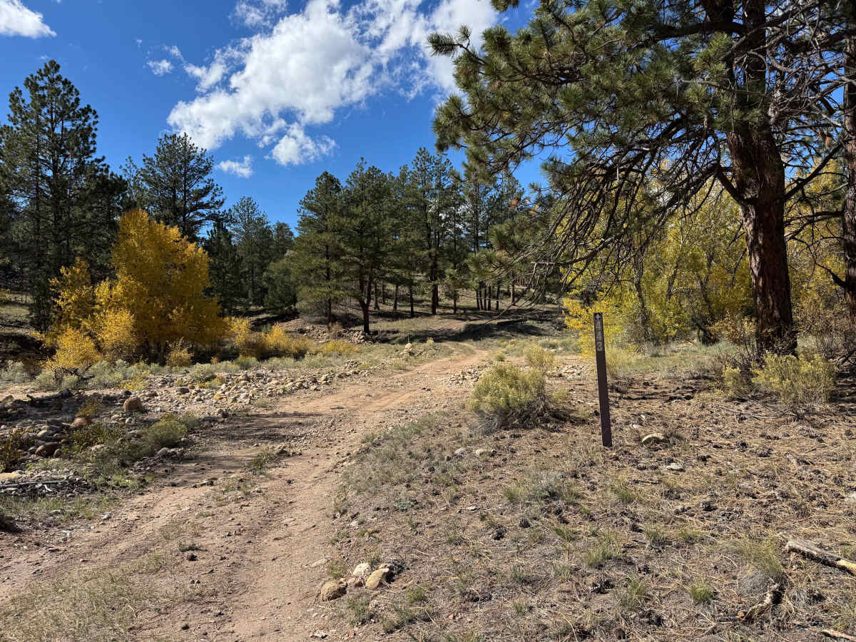 FS 443 trail photo