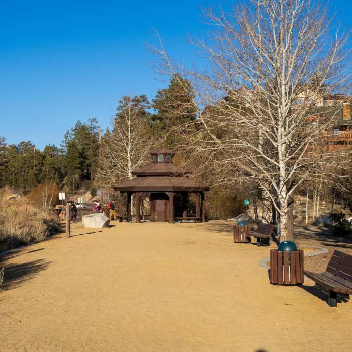 Near Stanfield Marsh Boardwalk