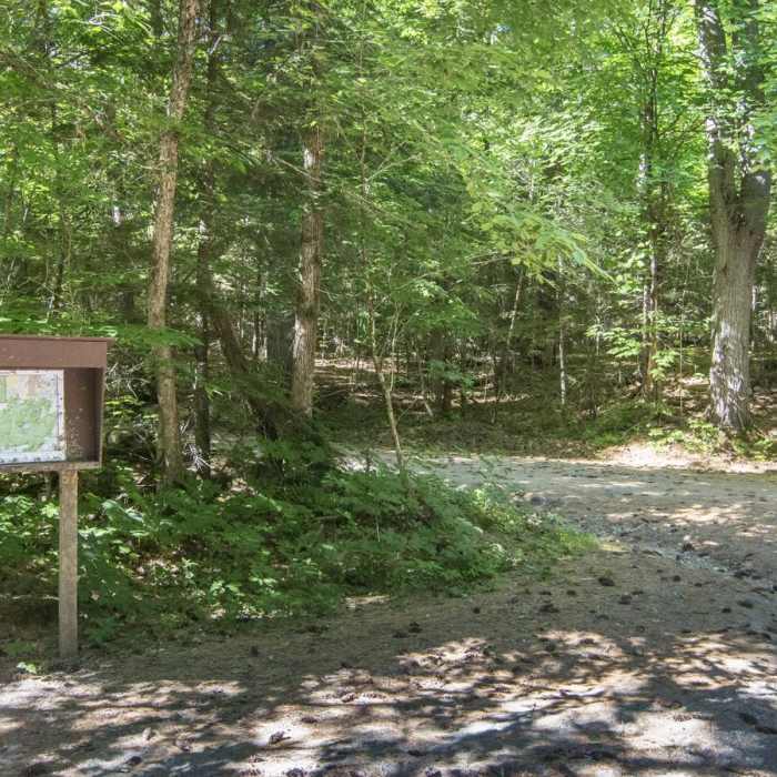 Near Pharoah Mountain