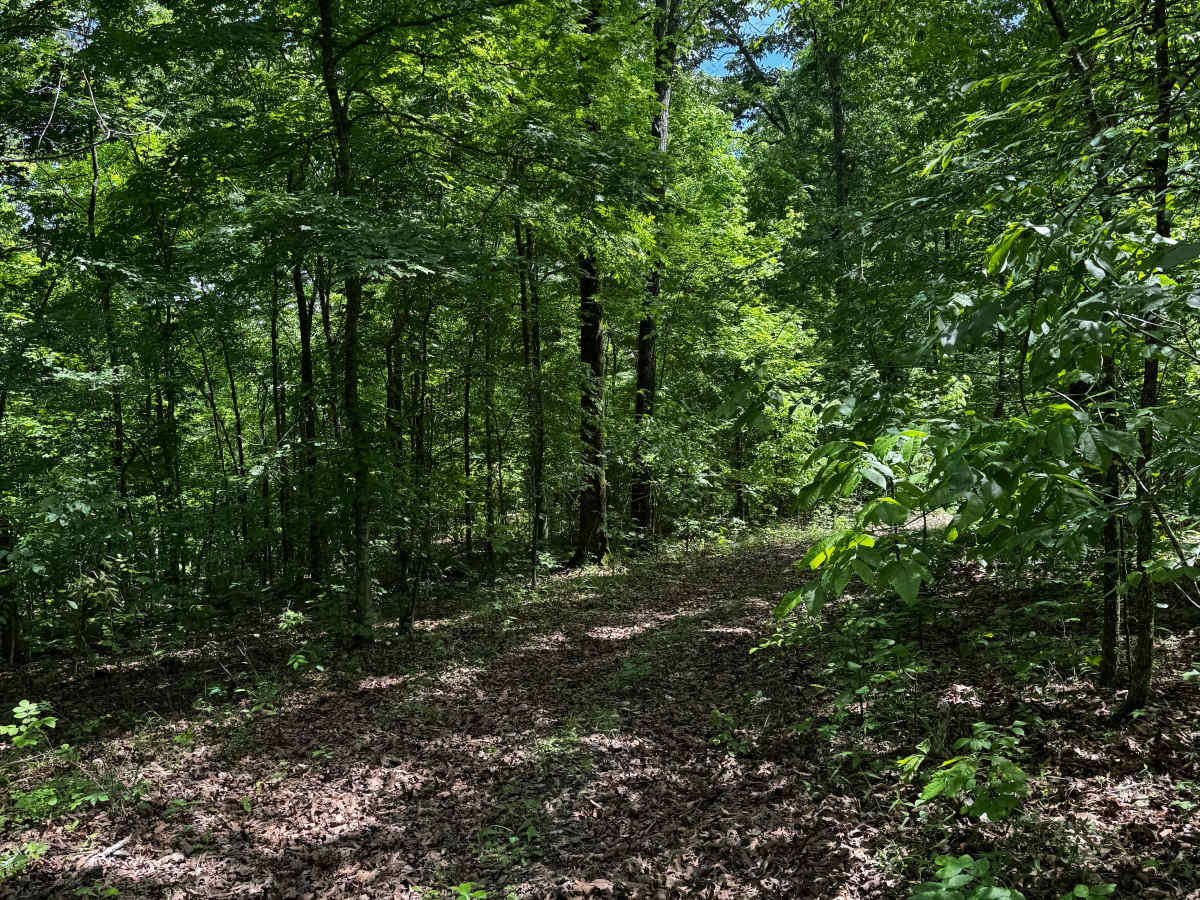 Hillside 69  trail photo