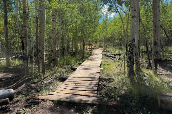 Turkey Creek 731
