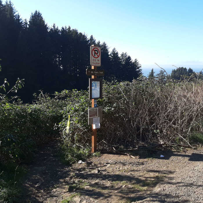 Near Elk Flats Trail