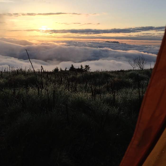 Near Grassy Ridge Bald Trail