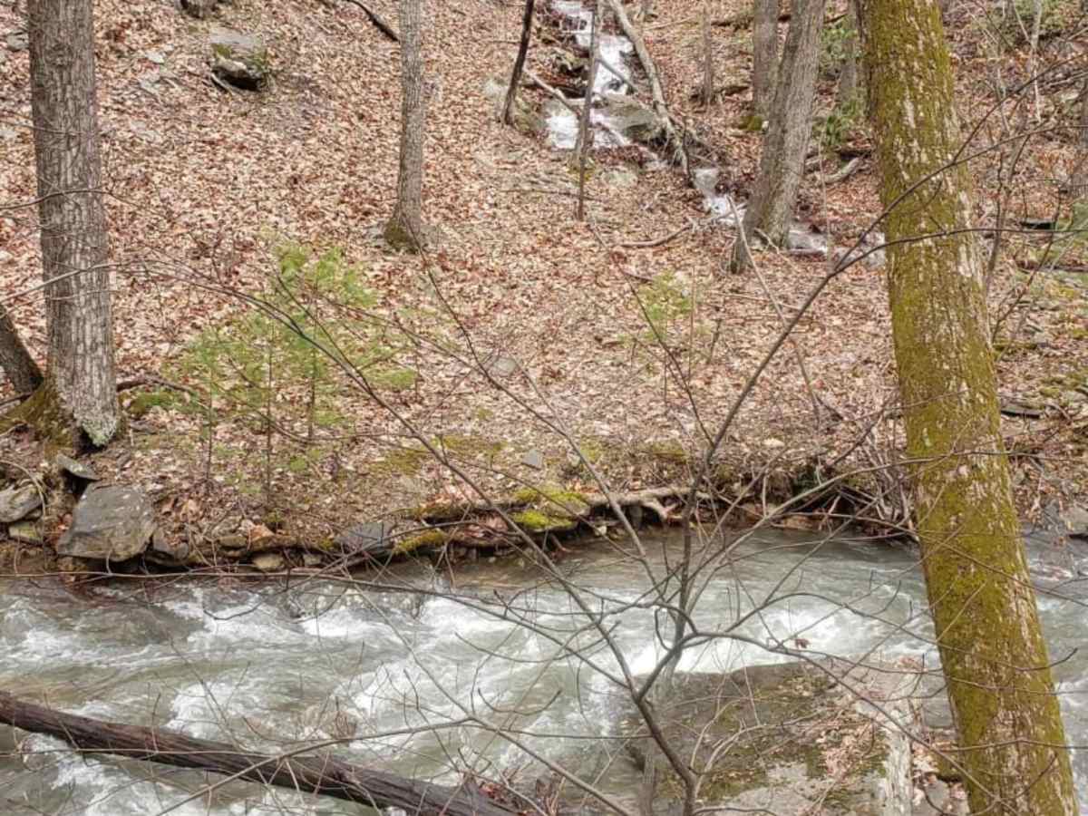 Broad Run photo 4