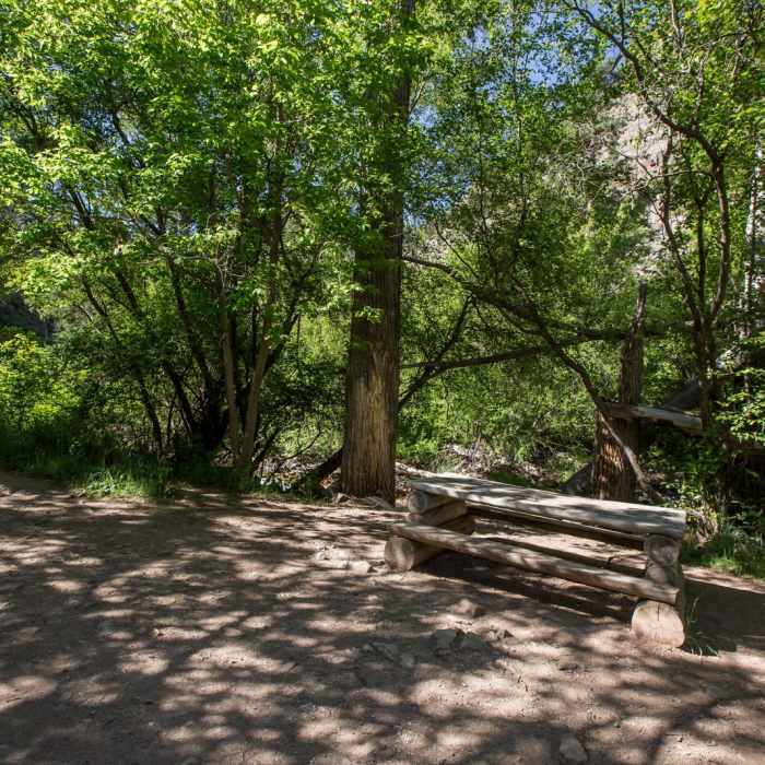 Near Grizzly Creek Trail