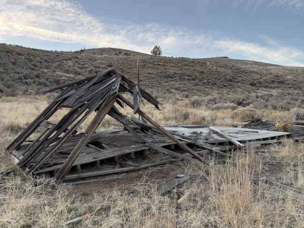 Miner's Draw Cabin - FS 6175, 6145, 6105 photo 3
