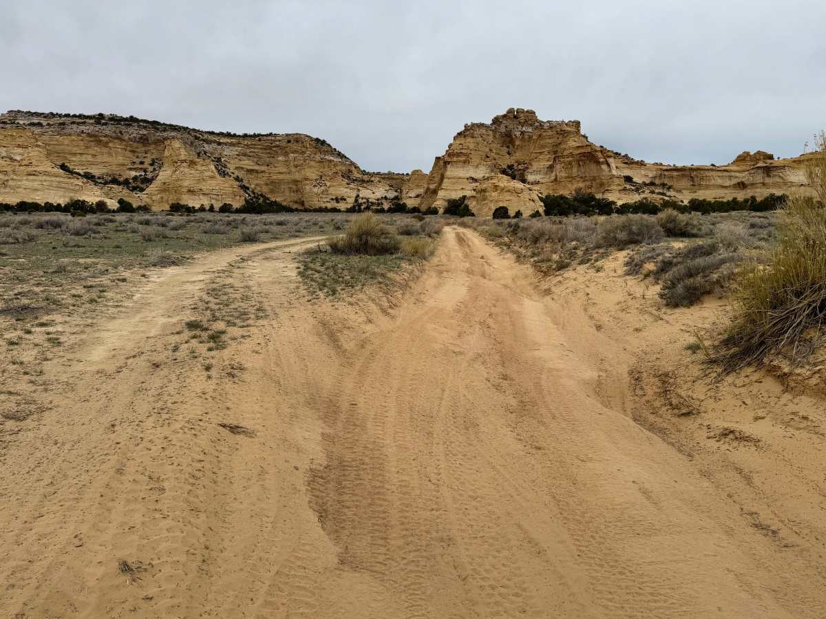 Lone Warrior photo 5