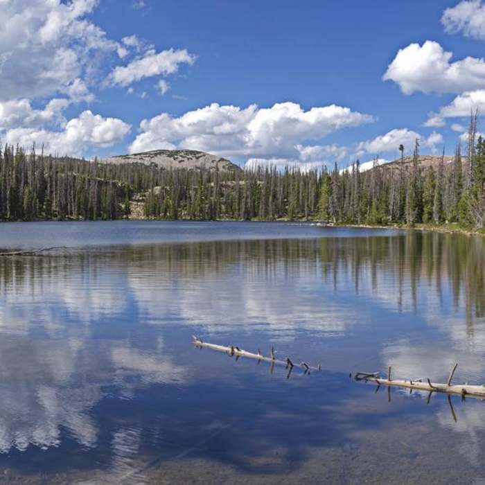 Near Clyde Lake Trail