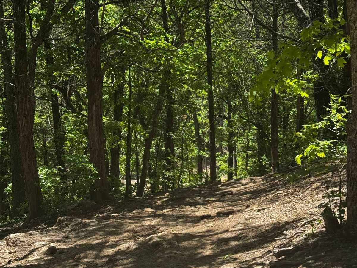 Flag Hill Bypass trail photo