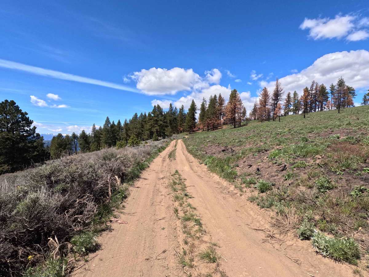 Burch Mountain Road - FS 7413 photo 6