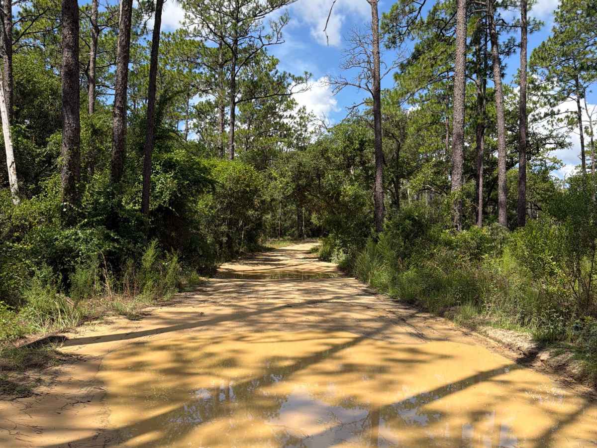 Tomahawk Loop - FS 314A-3.9 trail photo