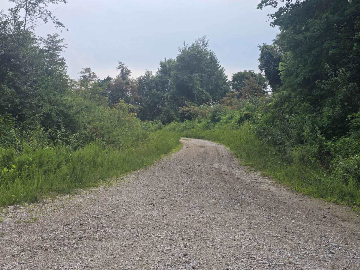 Massingale Mountain Road trail photo