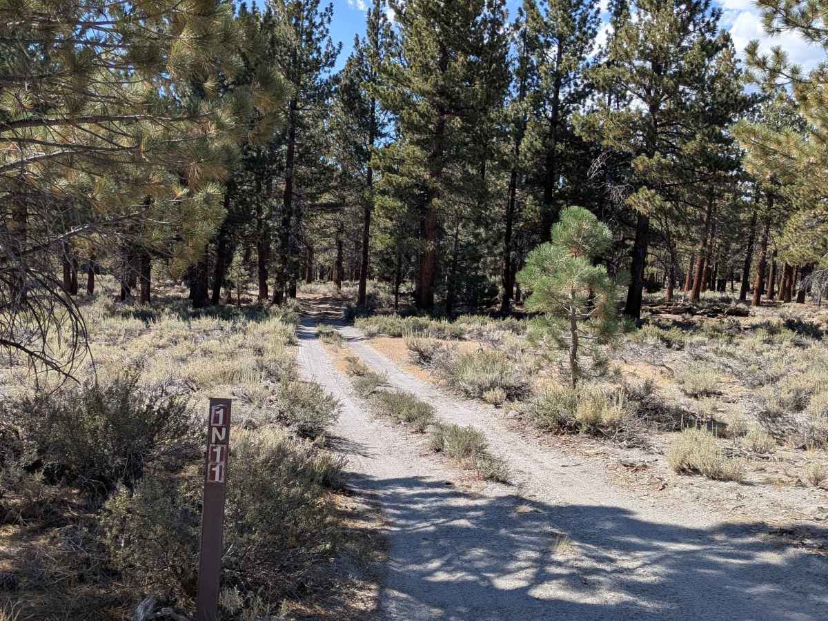 FS 1N11 trail photo