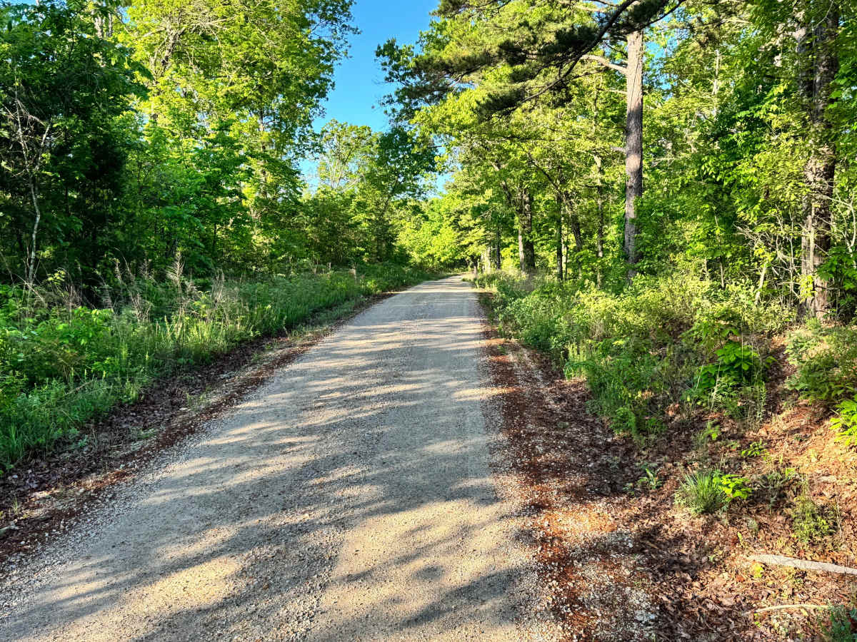 County Road 6420 photo 4