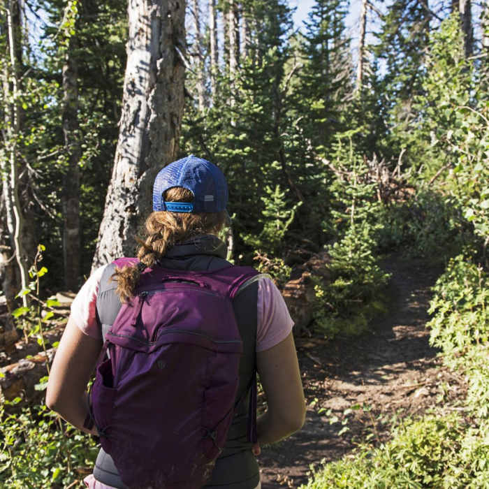 Near Alpine Pond Loop