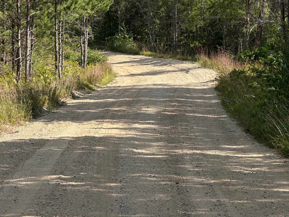 Hose Road photo 3