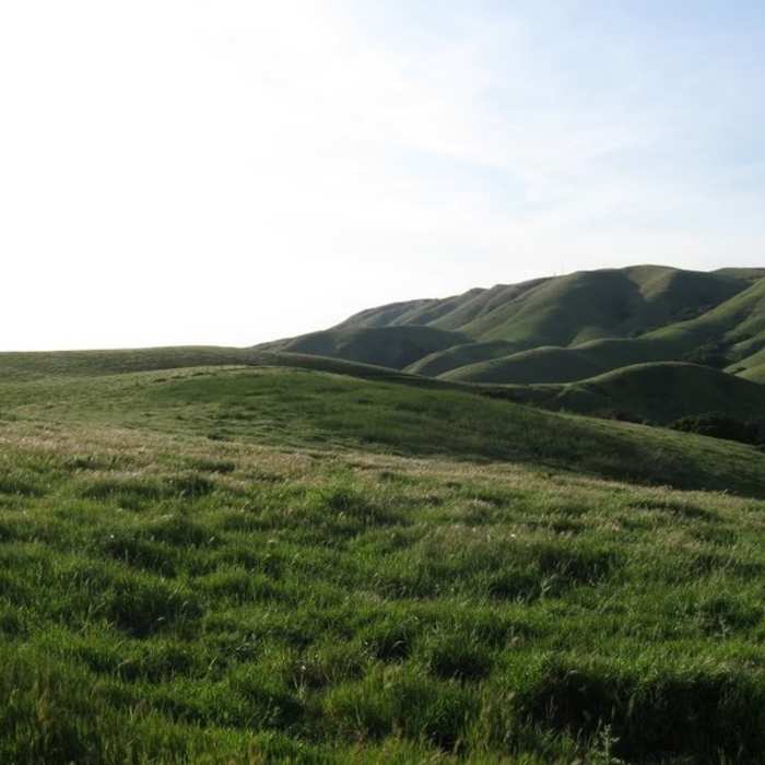 Near Calaveras Ridge Regional Trail