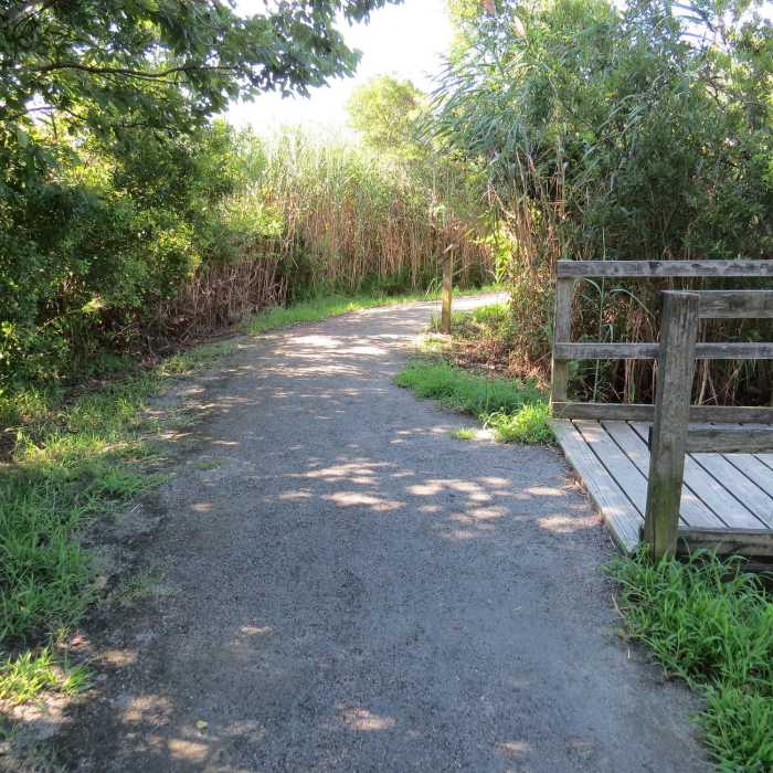 Start of Raptor Trail Near Seaside Trail to Dune Trail Loop