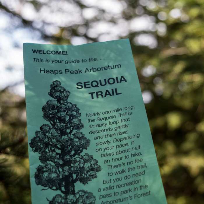 Near Heaps Peak Arboretum Sequoia Loop