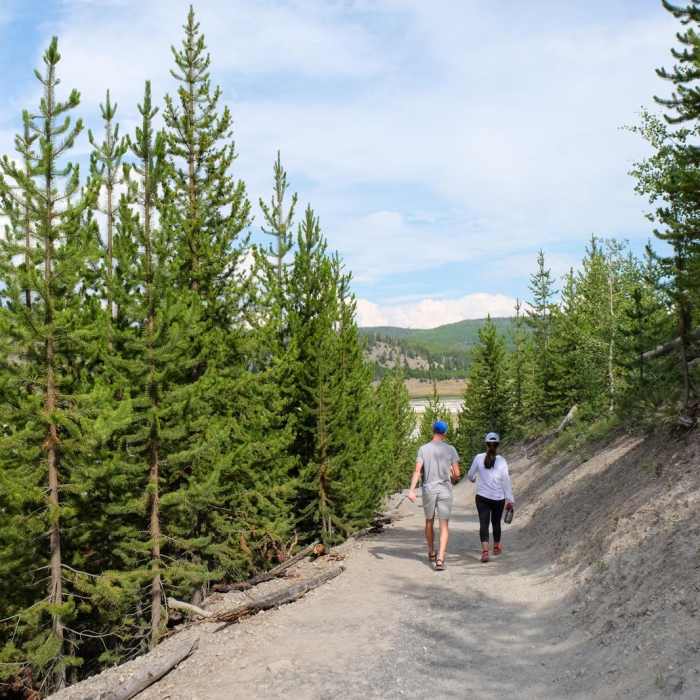 Near Grand Prismatic Spring Overlook