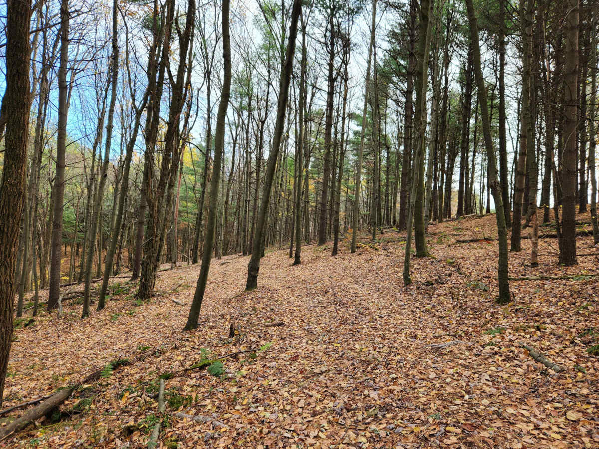 OHV 6 - Rock Run Recreation Area photo 4