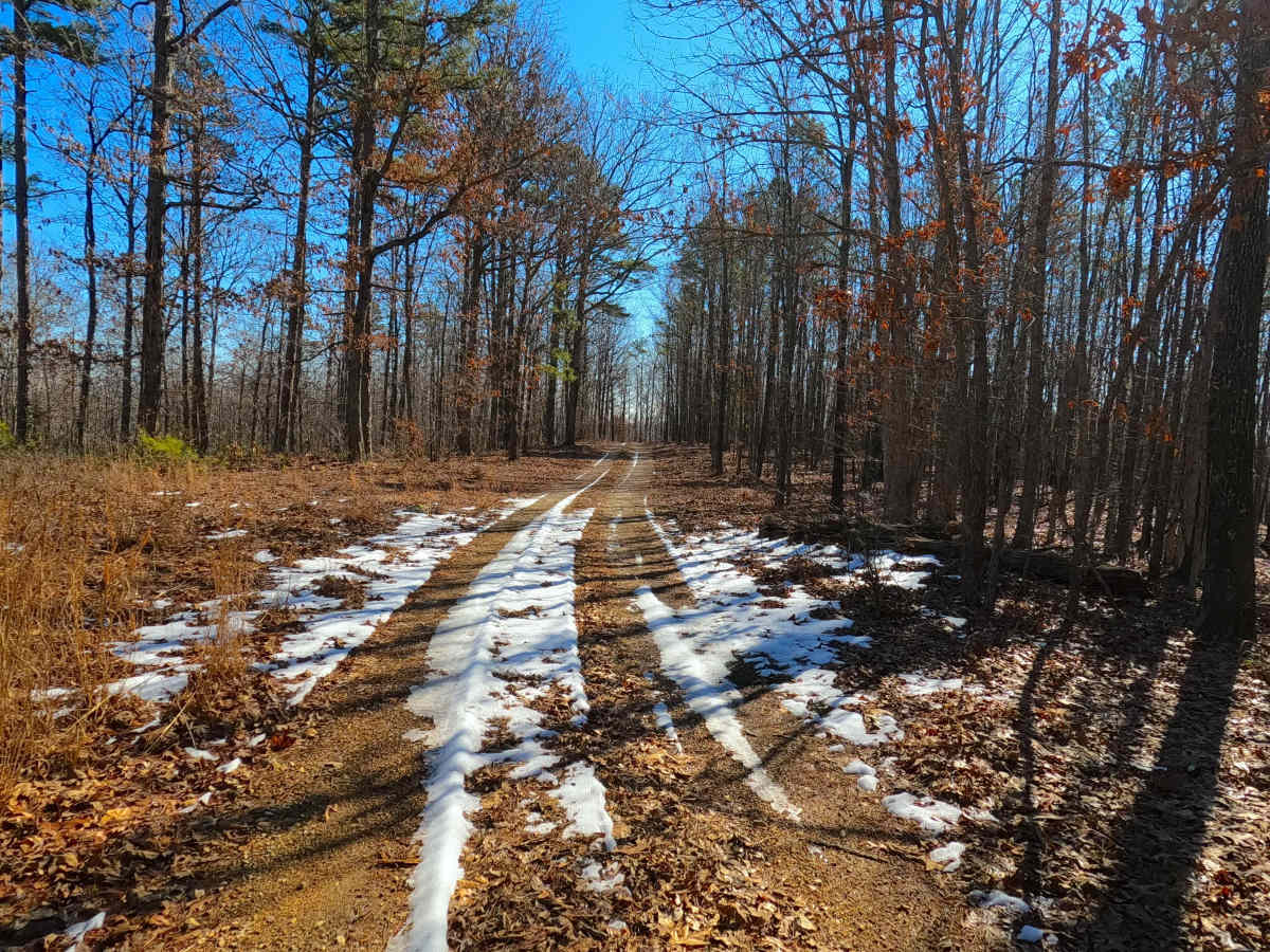 Bear Tick Ridge - FS 2459 photo 4