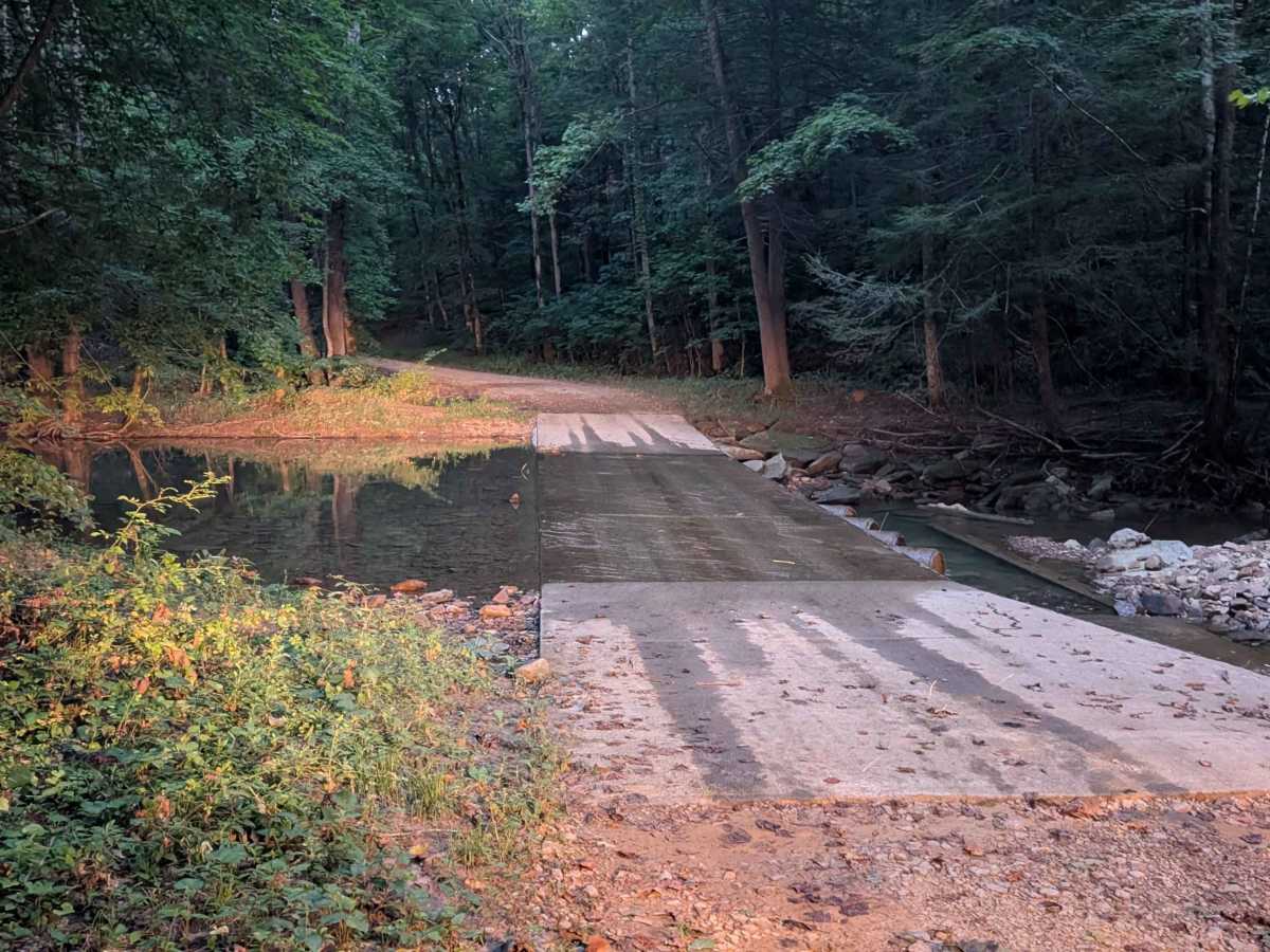 Steer Fork - FS 3109 trail photo