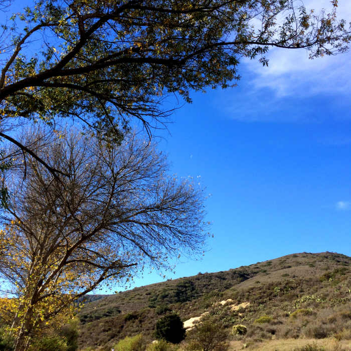 Near Wood Canyon Cave Tour