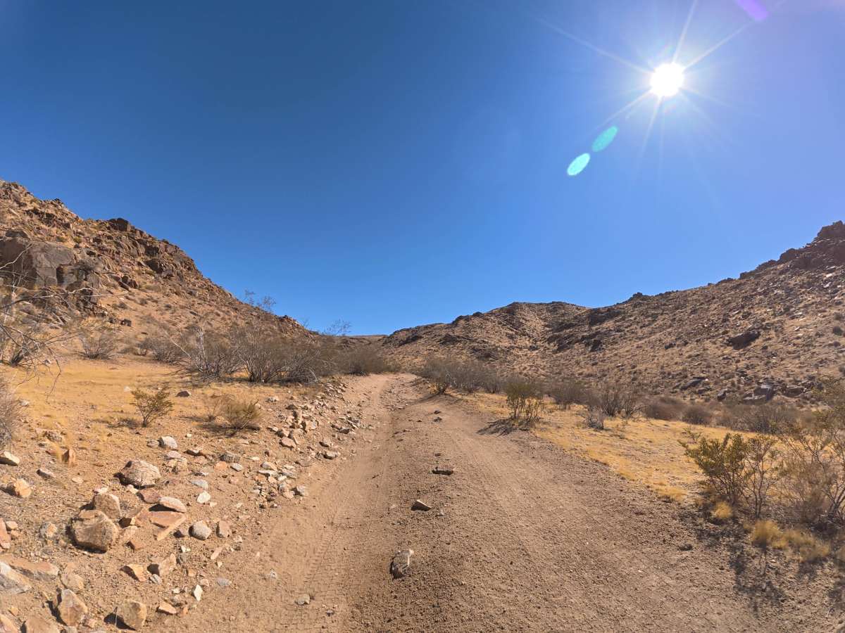 BLM 0M7321 photo 2