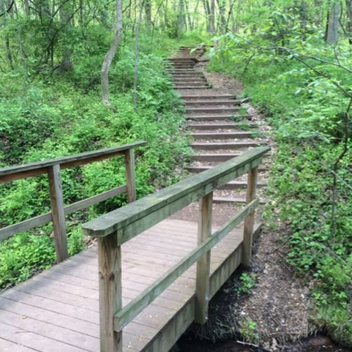 Near Ellanor C. Lawrence Park Loop