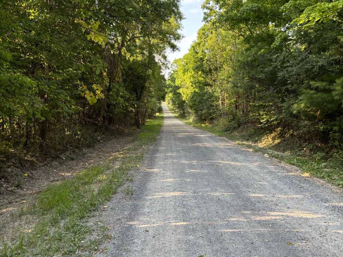 Shaker Access Road trail photo
