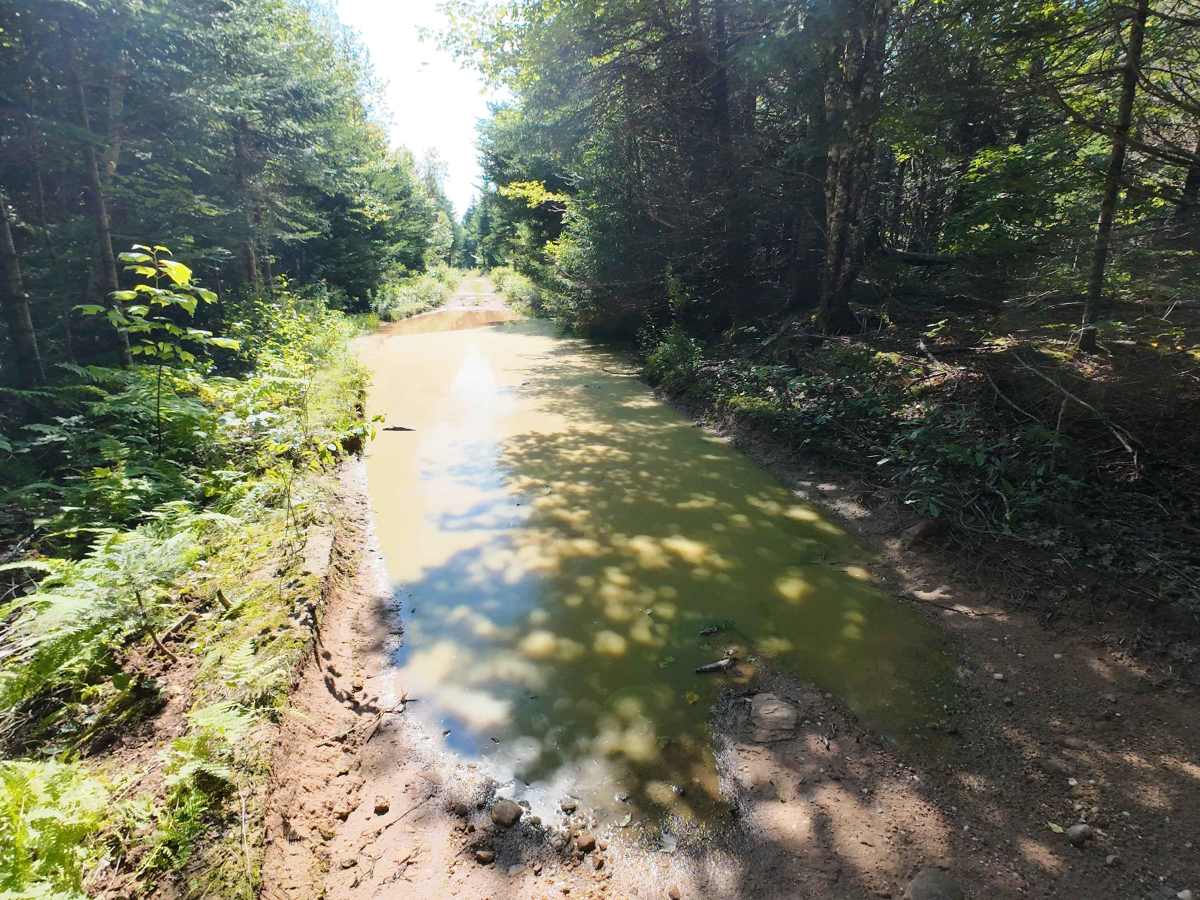 Woodworth Settlement Road photo 2