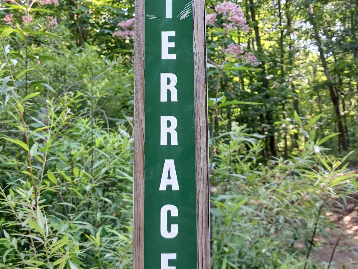 Lower Terrace Road - Rock Run Recreation Area trail photo