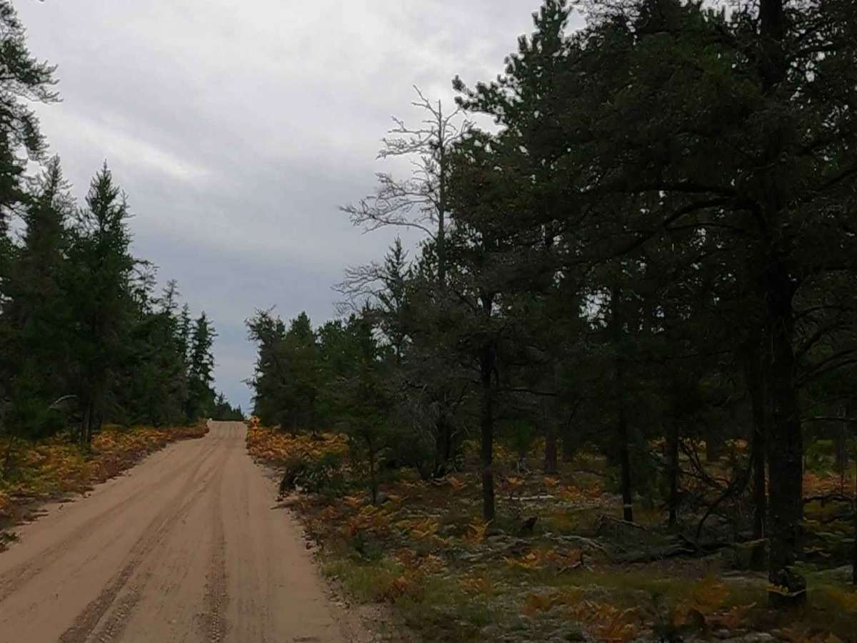 Middle Town - FS 3018 photo 3