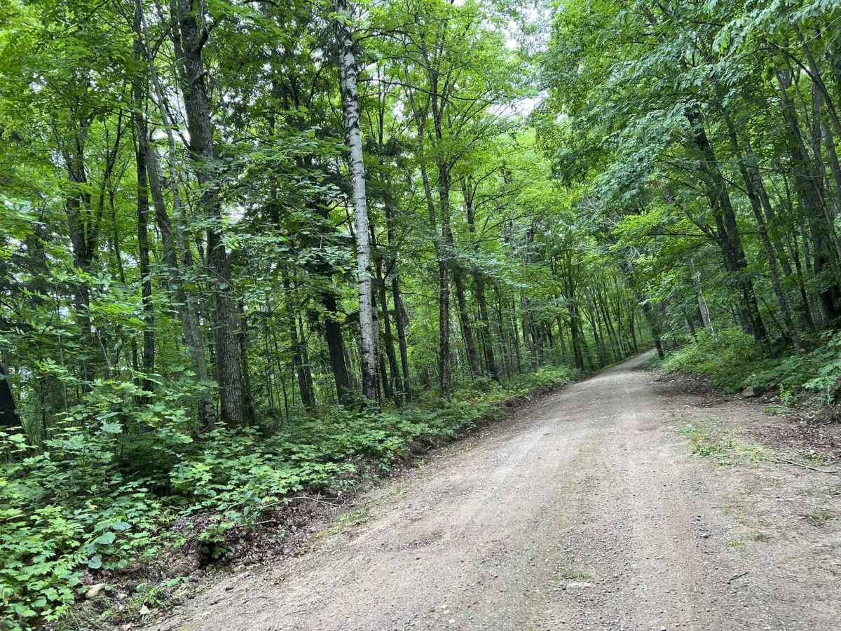Loop Rd - FS 3903 photo 5