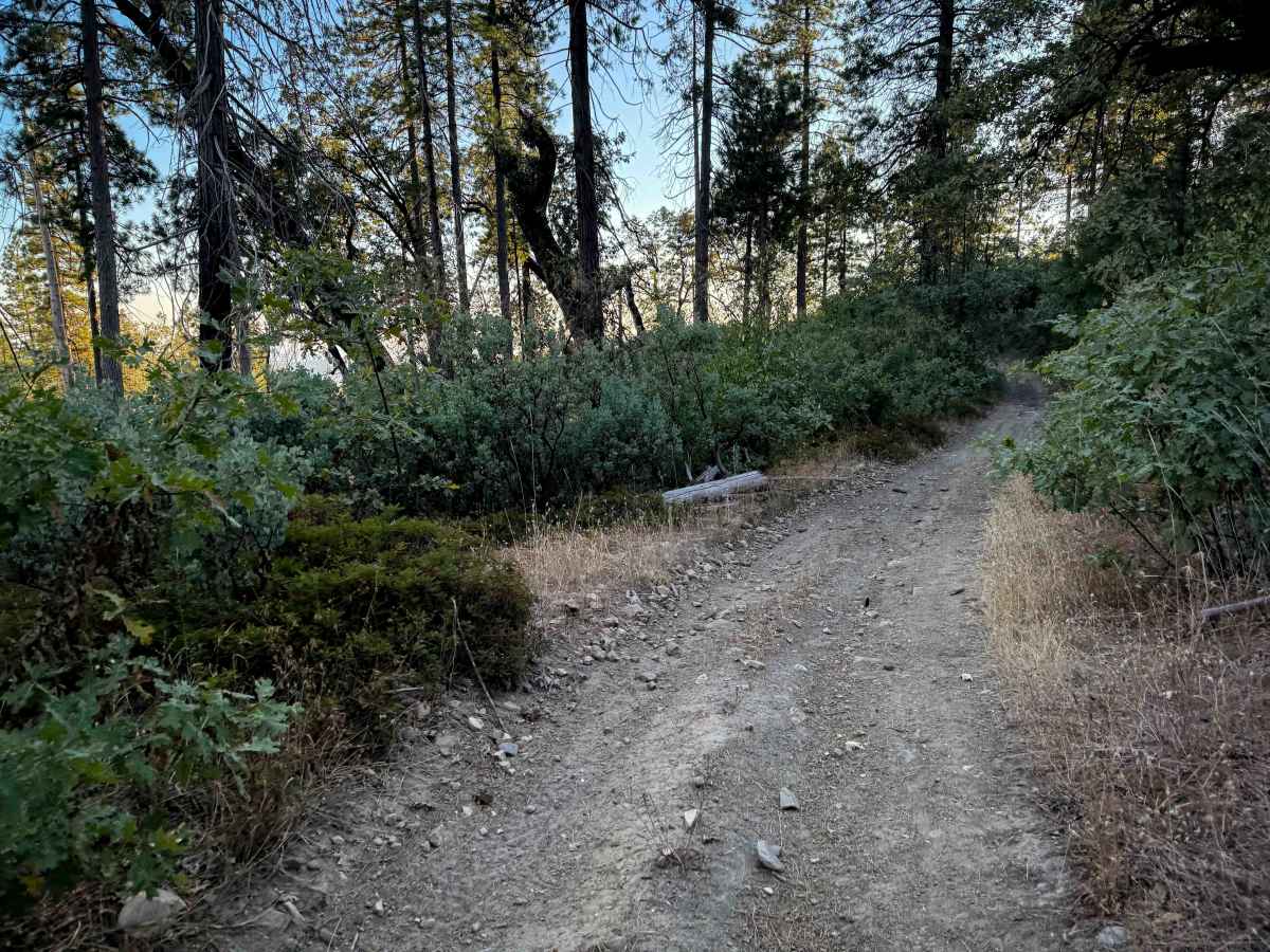 21E238 photo 5