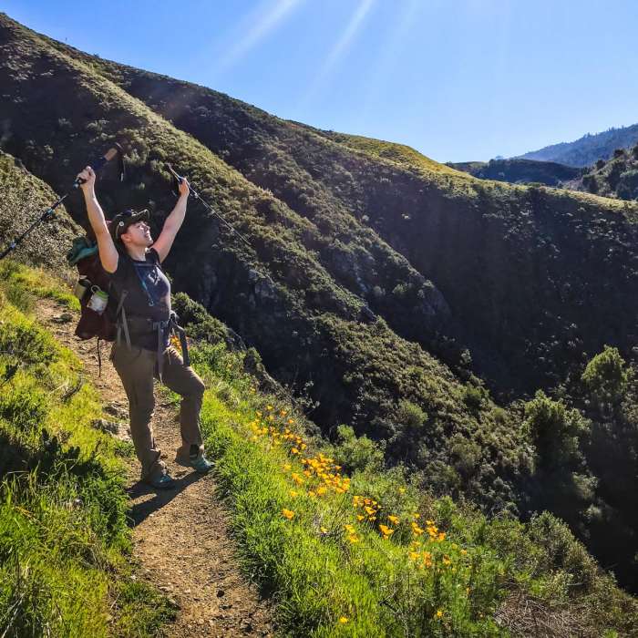 Near Vicente Flat Trail