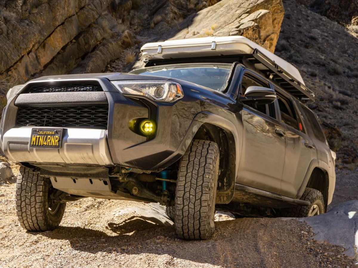 Steele Pass photo 4