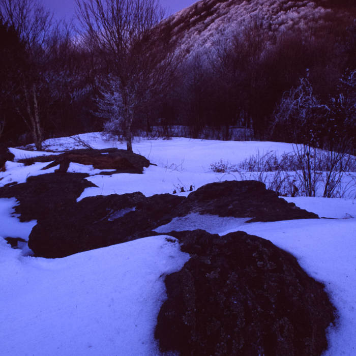 Evening at Bee Tree Gap, Great Craggy Mountains. Photo by Stephen Schoof. Near Snowball Mountain Trail