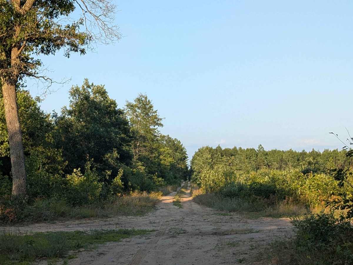 Merton Trail photo 6