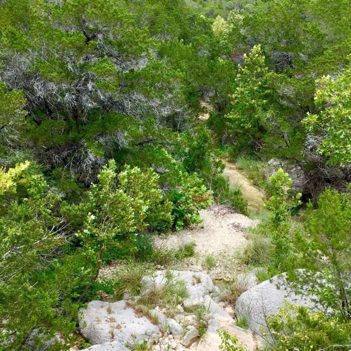 Near Mt Lakeway Trail