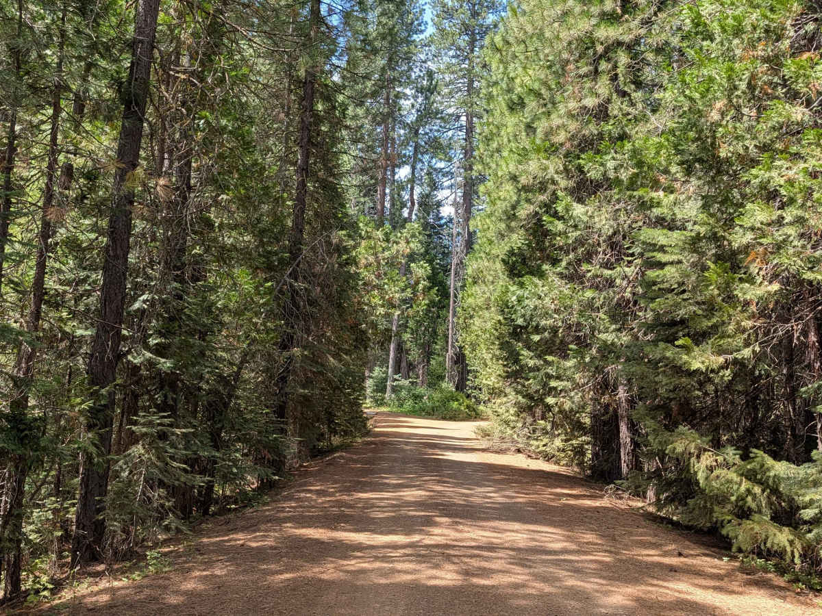 Cow Creek - FS 39N90 trail photo