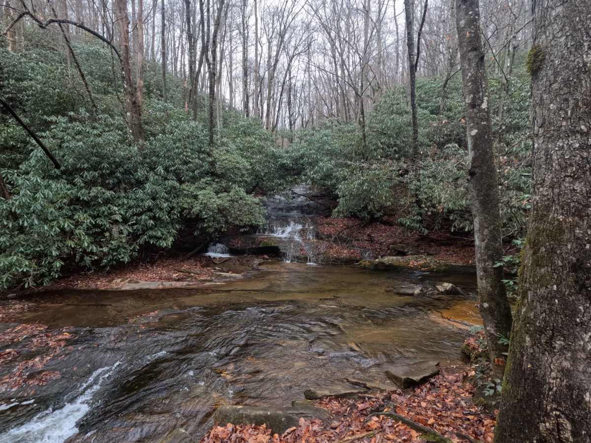 Cathey's Creek Road - FS 471 photo 5