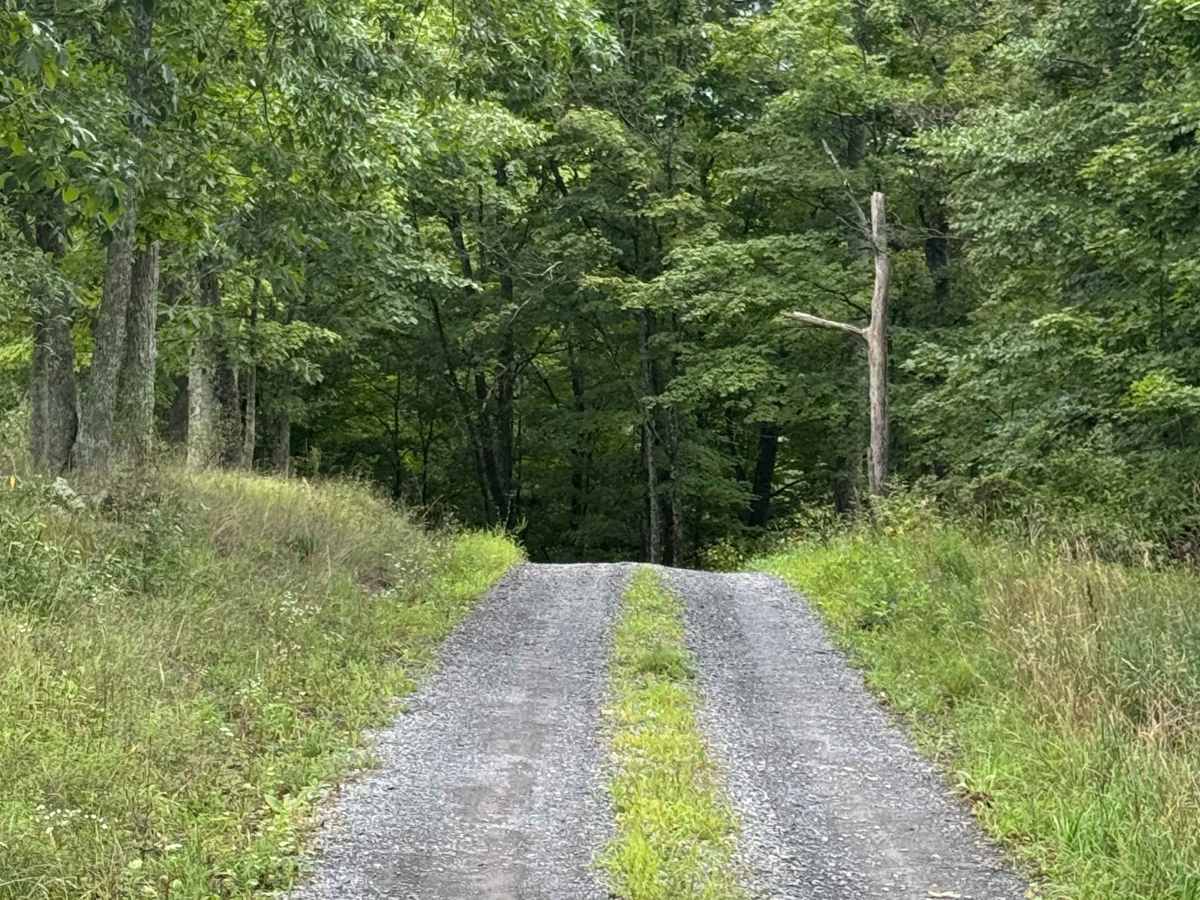 Cooper Road photo 3